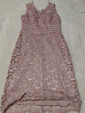 🌸 Enfocus Studio Pink Lace Dress – Size 6- V-Neck